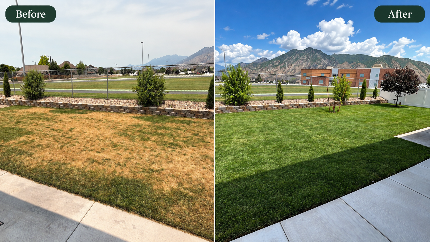 Before and after sod installation showing the same yard before and after new sod