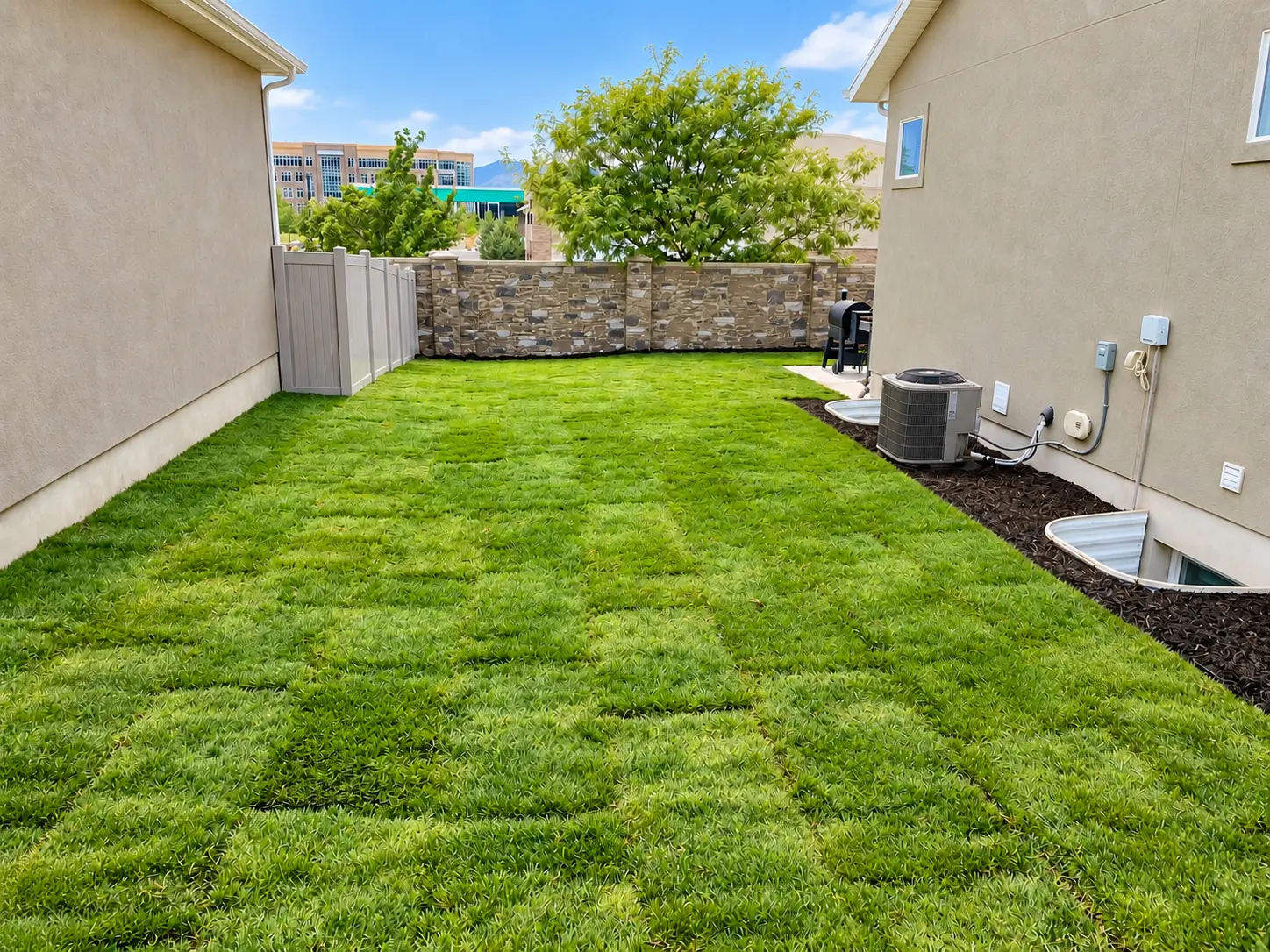 Freshly installed sod in a residential side yard